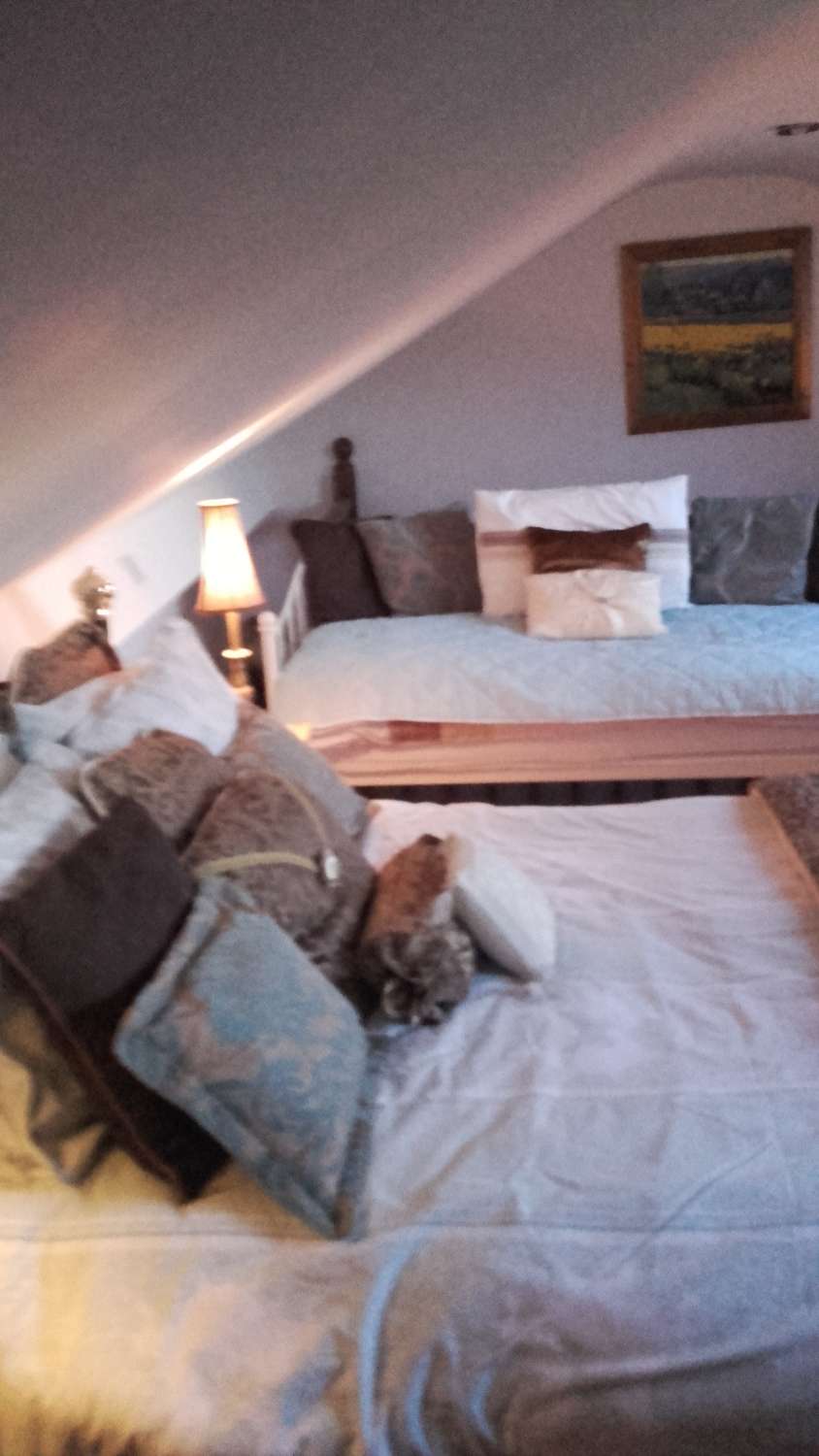 Three single beds room
