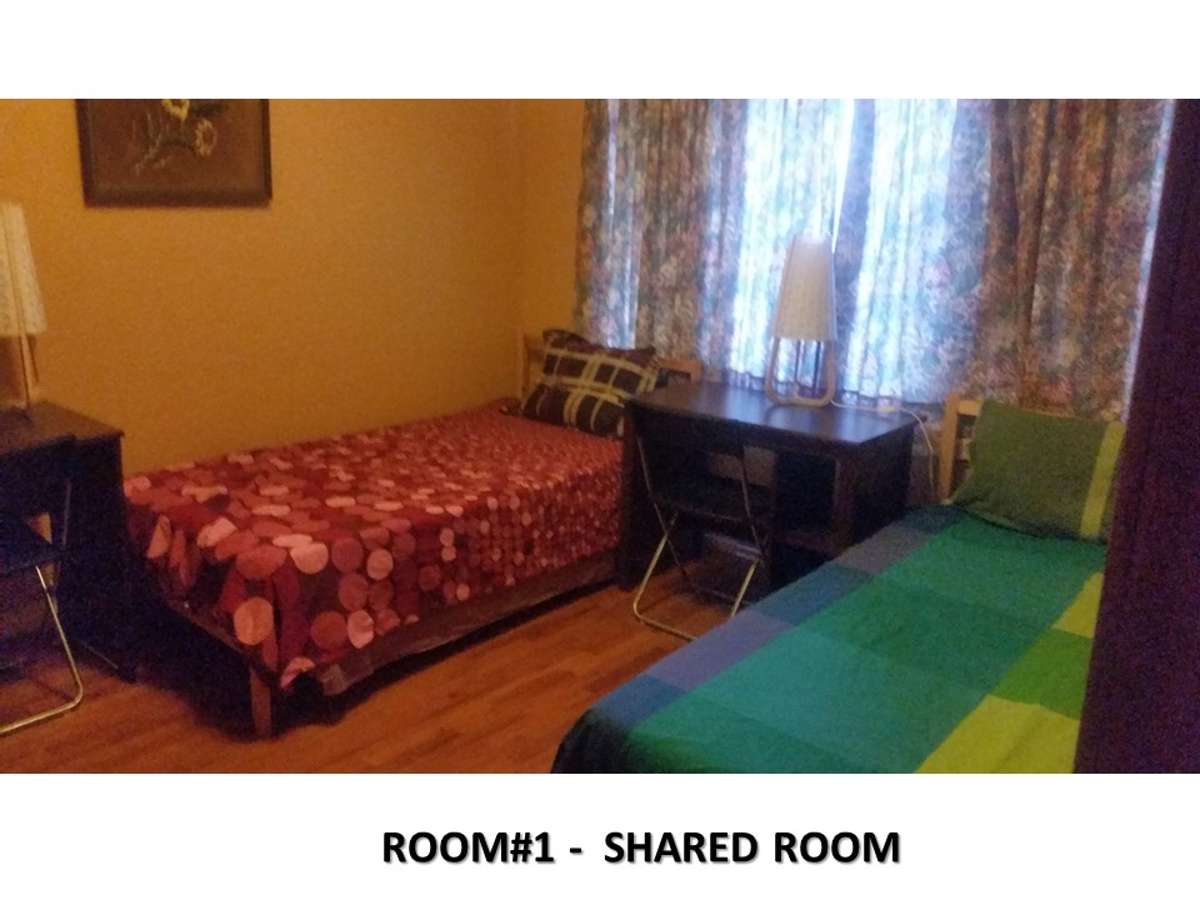 2人房 （两张单人床） room