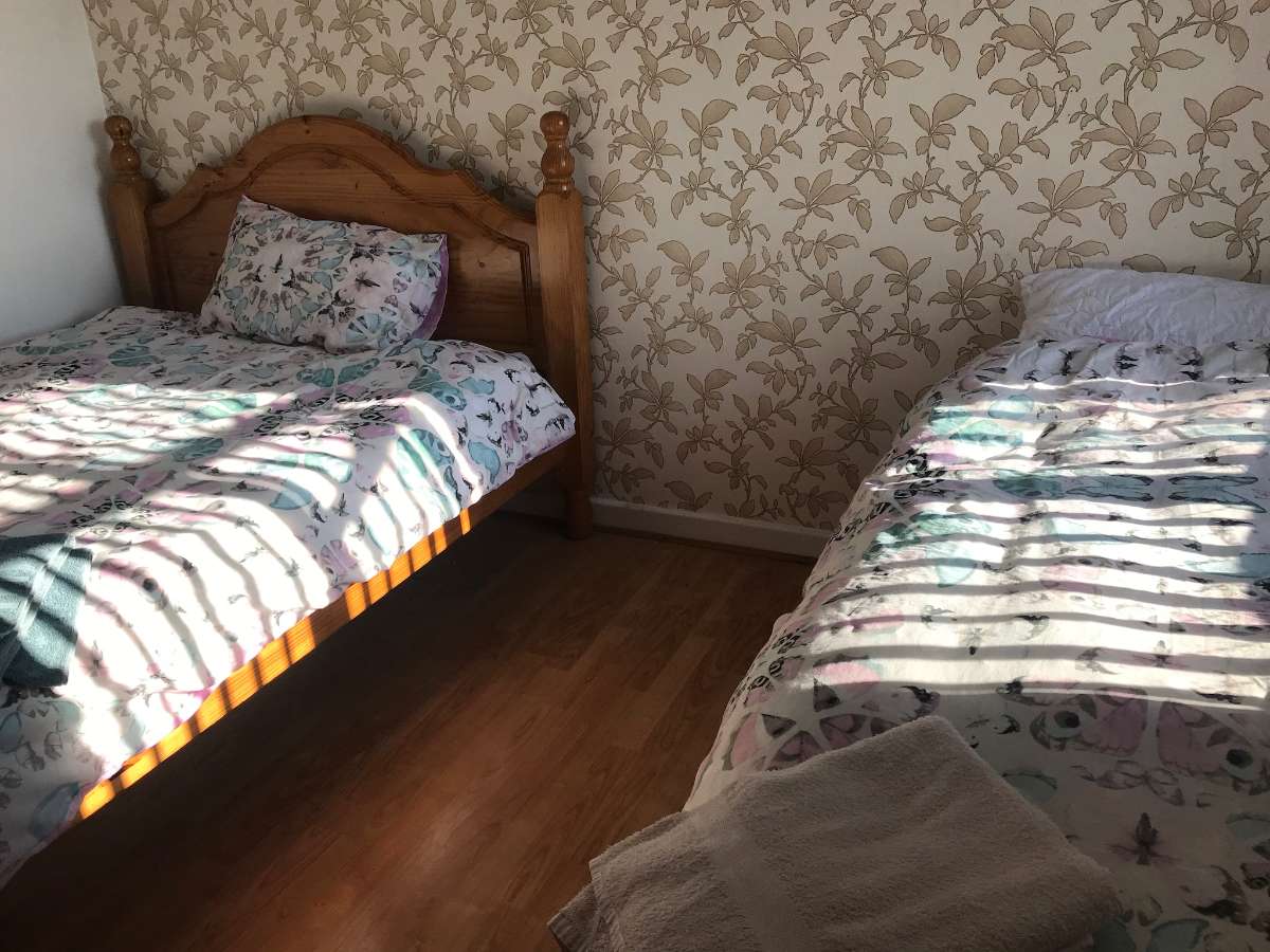 2人房 （两张单人床） room